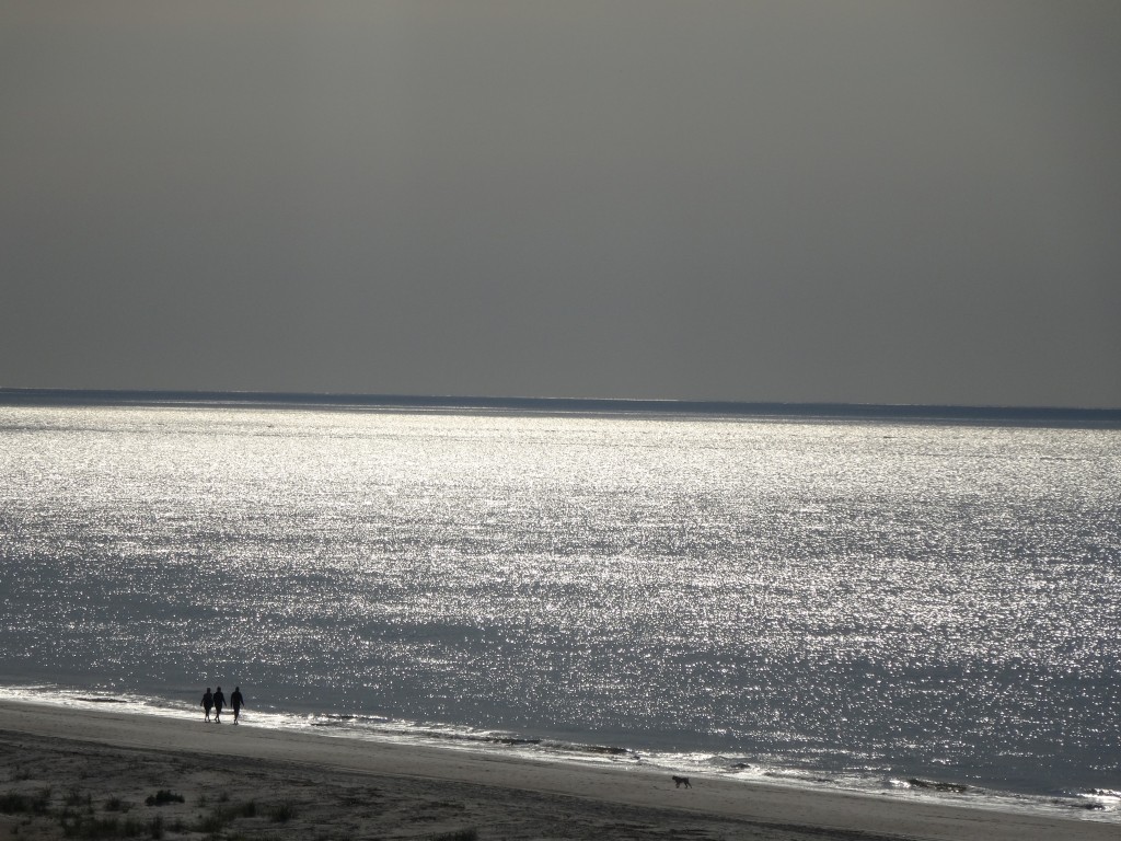 beach at hilton head