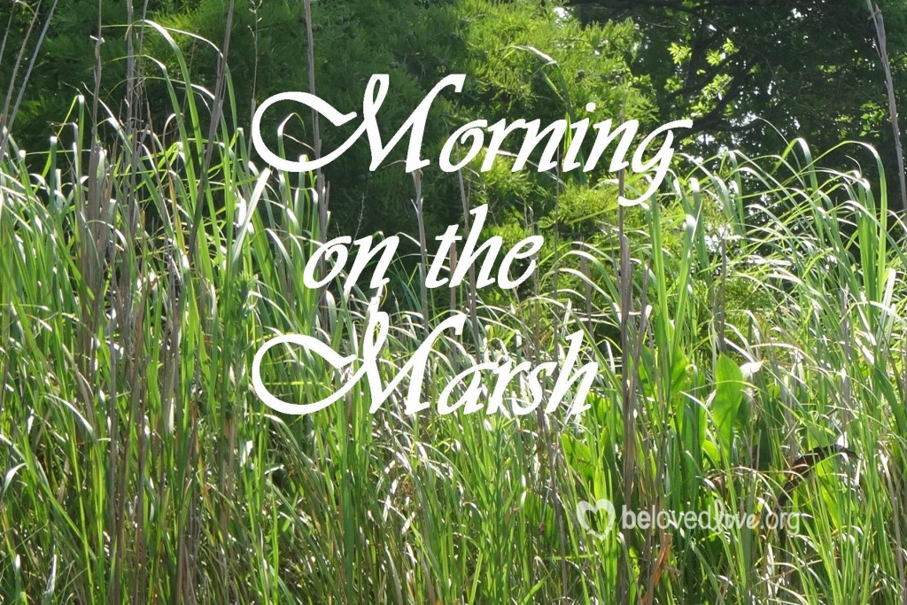 Morning on the Marsh