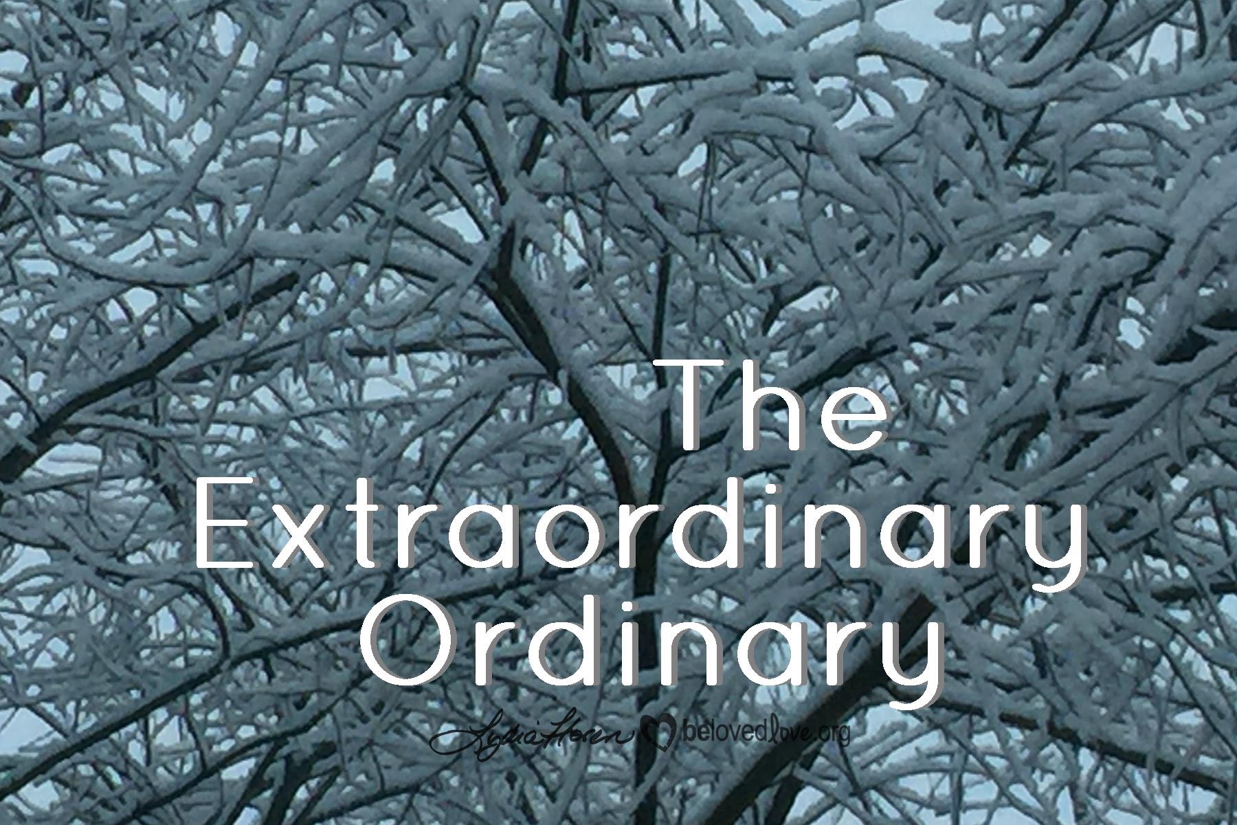 The Extraordinary Ordinary Belovedlove 3792