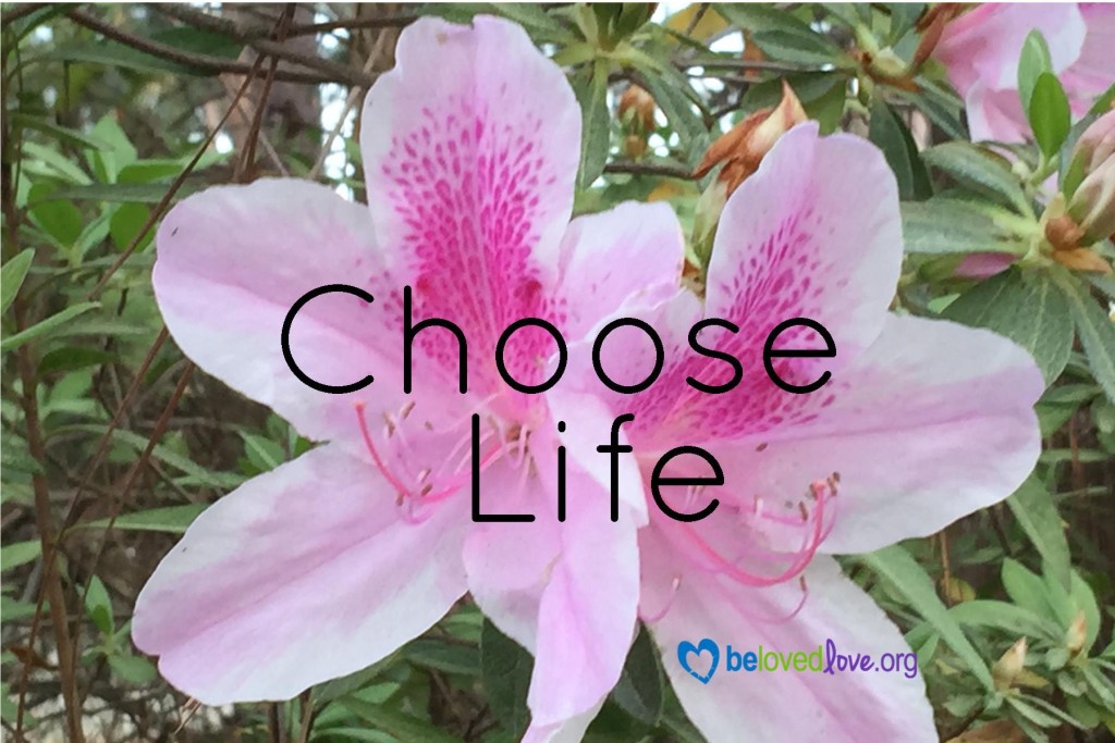 3:25:16 Choose Life