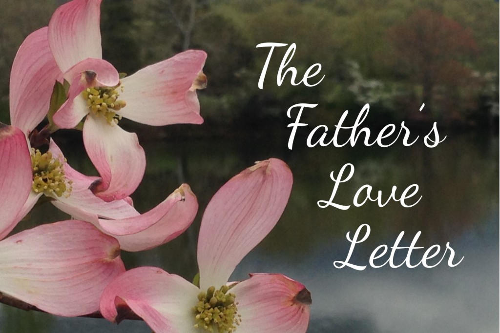 the father's love letter