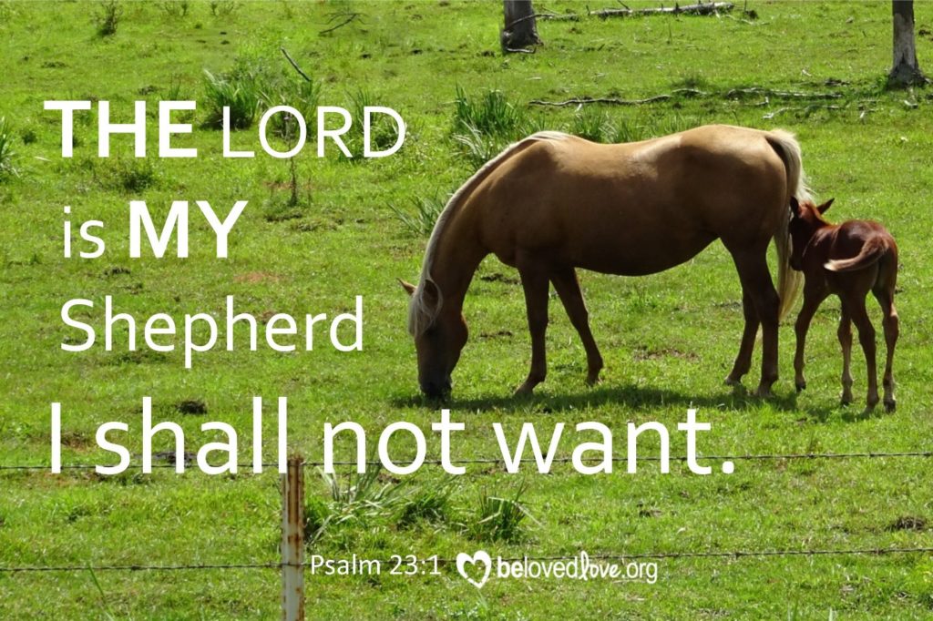 91616-lord-is-my-shepherd