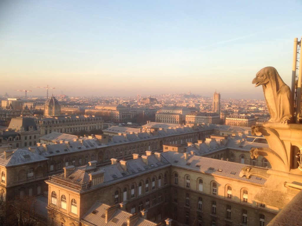 Paris city view from the rooftop