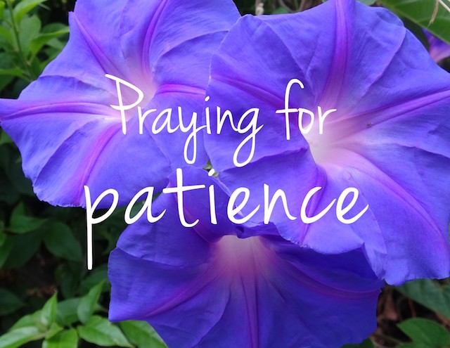 Praying for Patience - Belovedlove