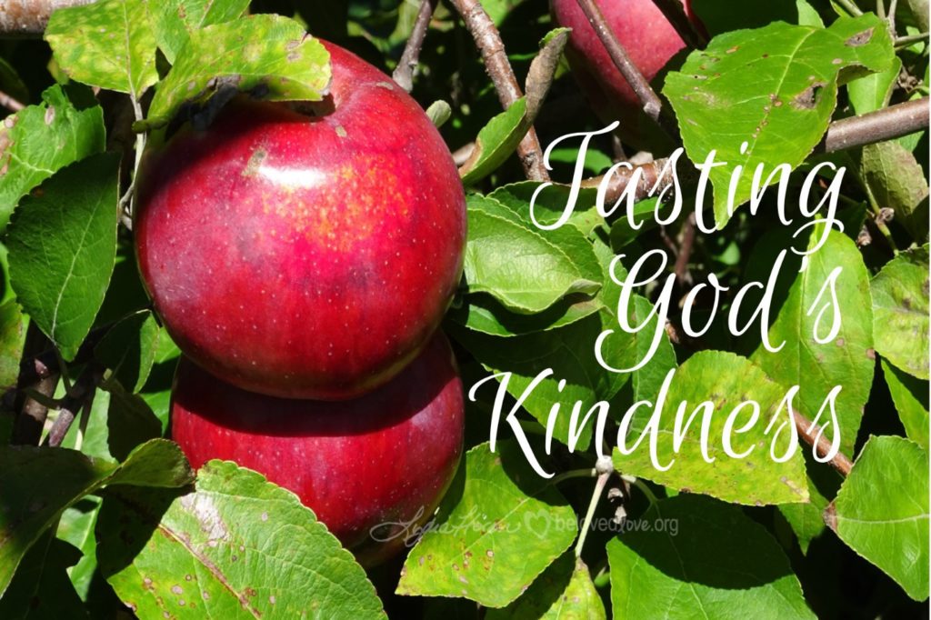 Apples on a tree, with caption "tasting God's Kindness"