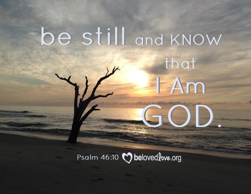 tree on shore with "be still and Know that I am God." written on it.