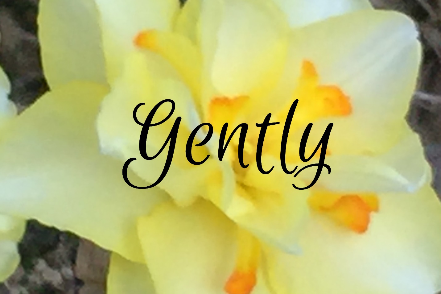 Gently