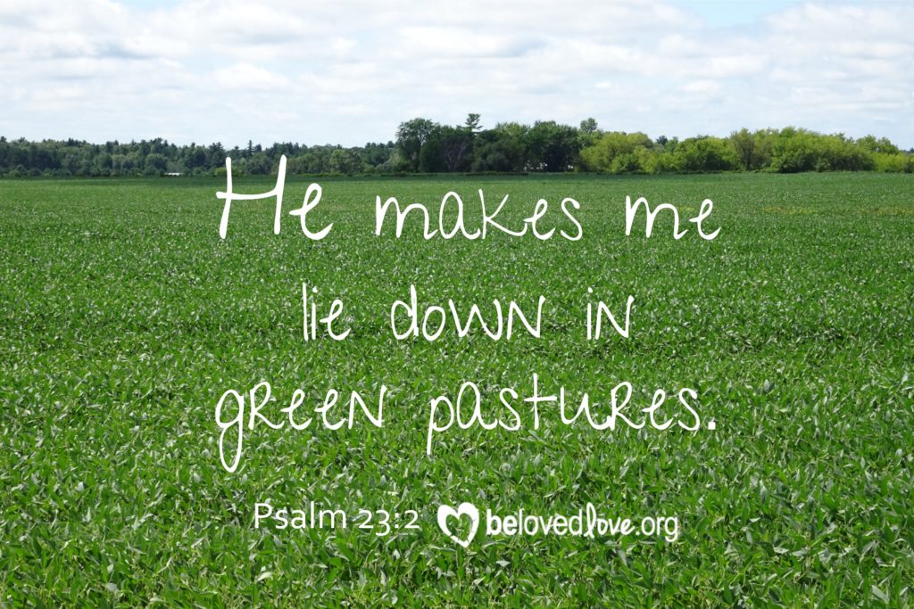 he makes me lie down in green pastures psalm 23:2