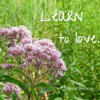 learn to love