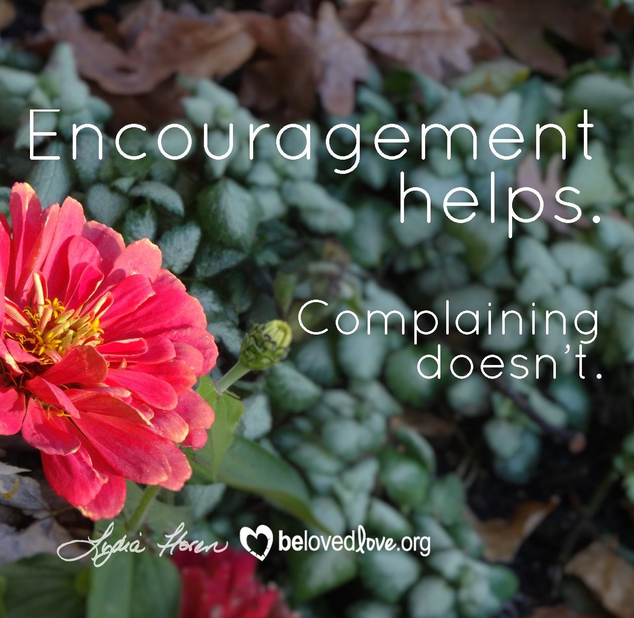 Encouragement helps complaining doesn't