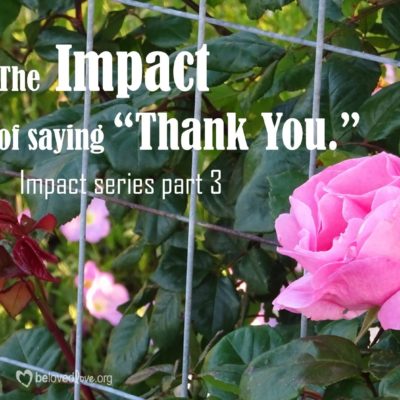 impact of saying thank you