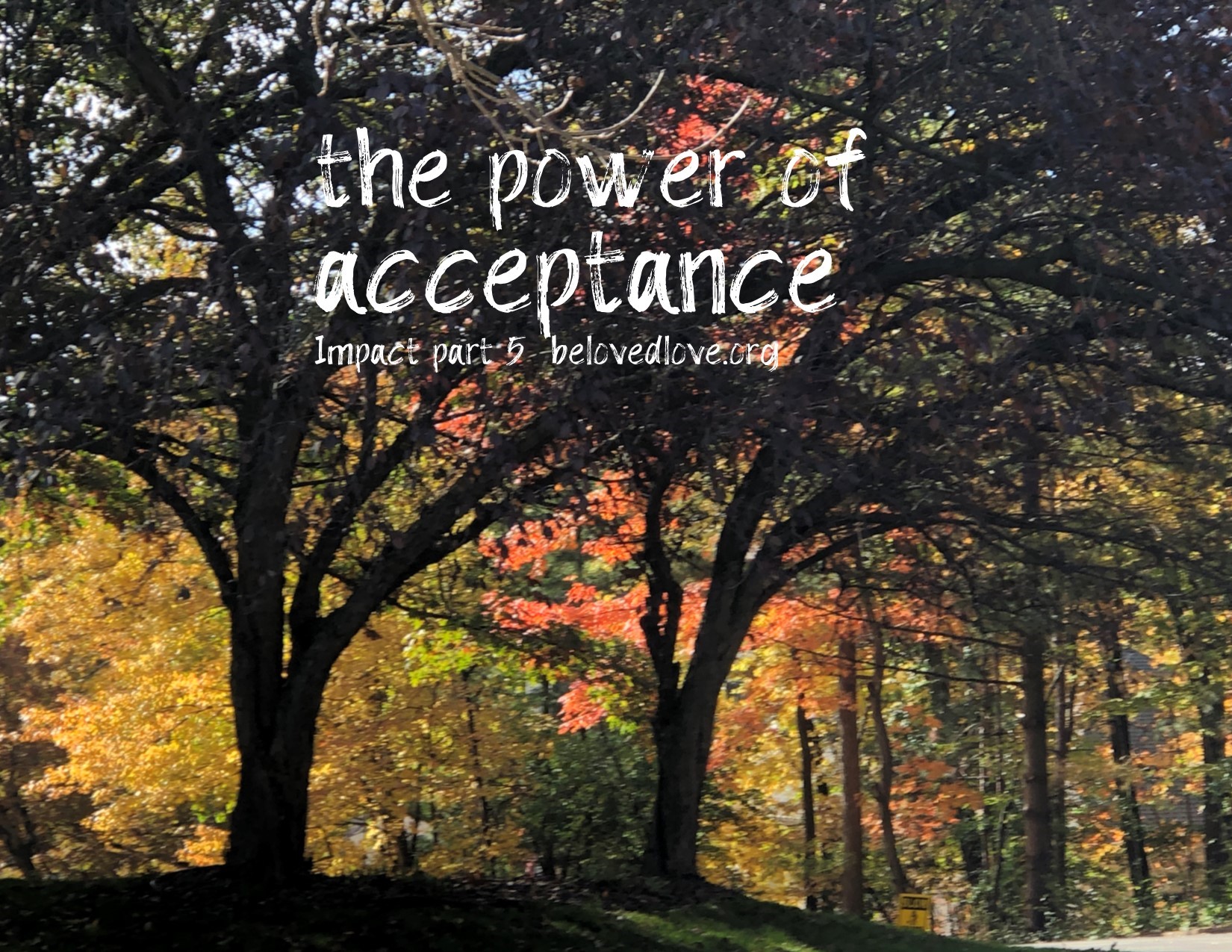 the power of acceptance impact part five