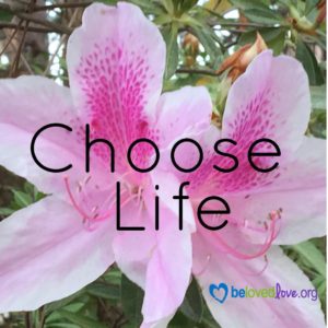 Choose Life