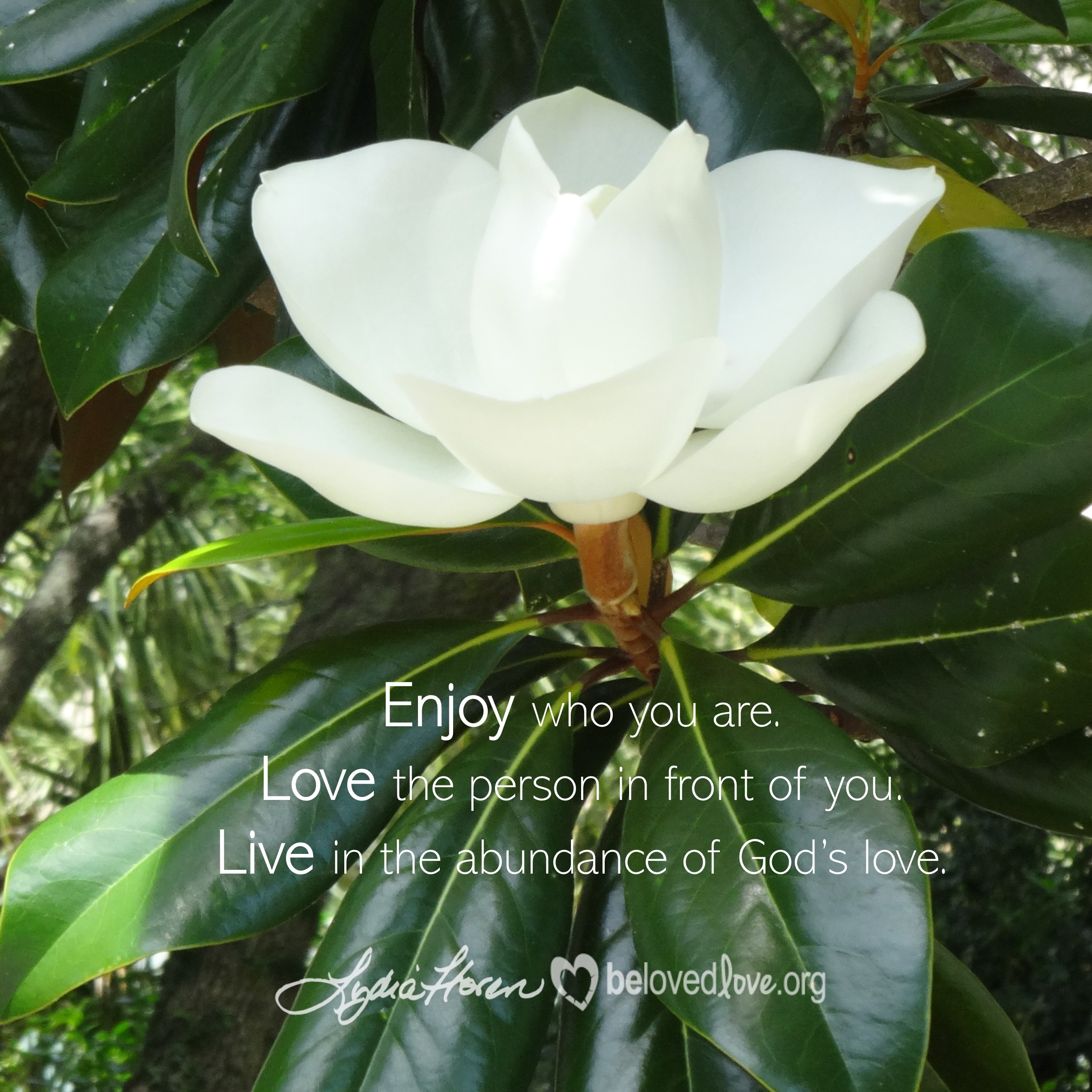 Enjoy who you are. Love the person in front of you. Live in the abundance of God's love.