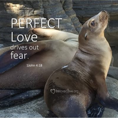 perfect love drives out fear