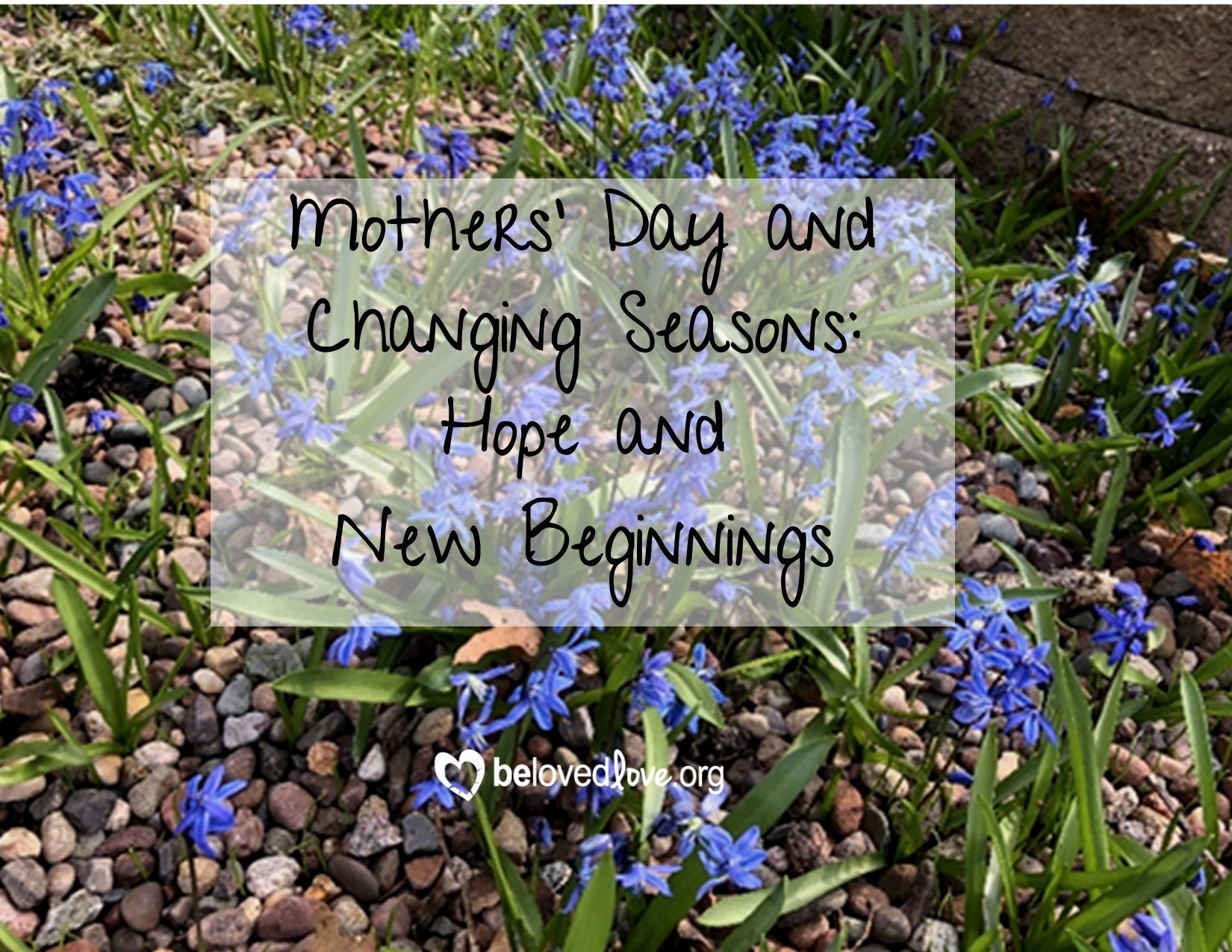 mothers day and changing seasons