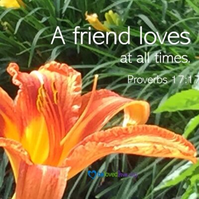 a friend loves at all times