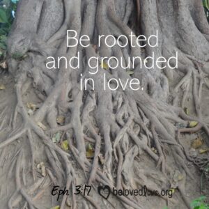 be rooted and grounded in love