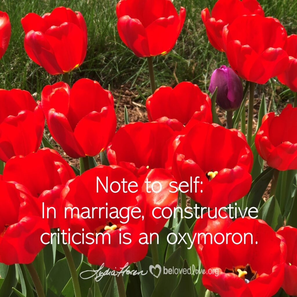 constructive criticism is an oxymoron