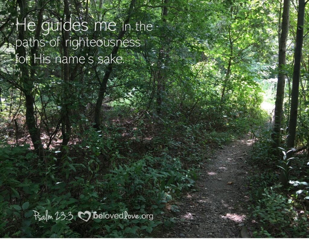 he-guides-me-in-the-paths-of-righteousness