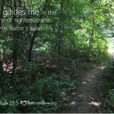 he-guides-me-in-the-paths-of-righteousness