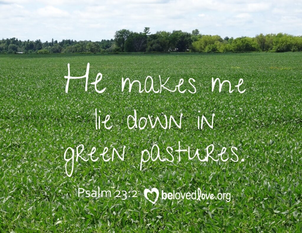 he-makes-me-lie-down-in-green-pastures