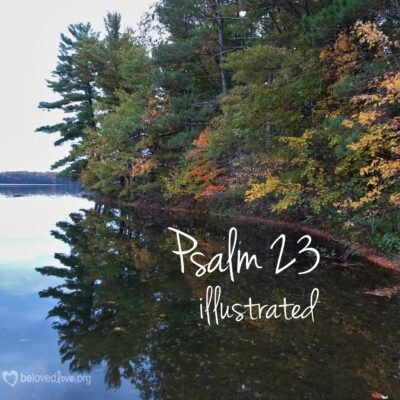 psalm 23 illustrated