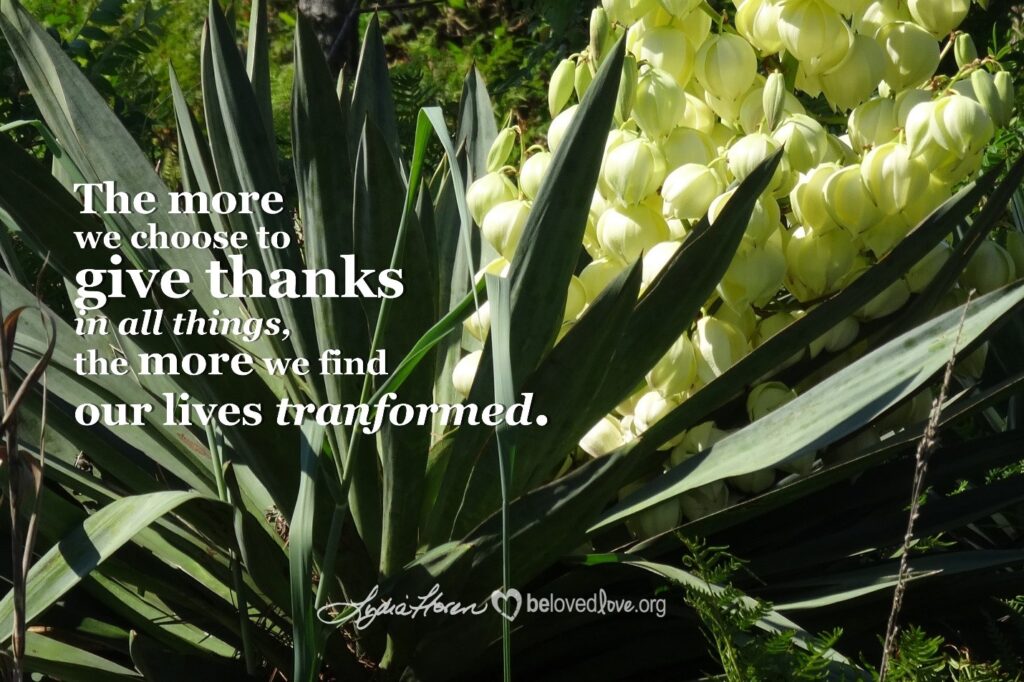 giving thanks lives transformed-rec
