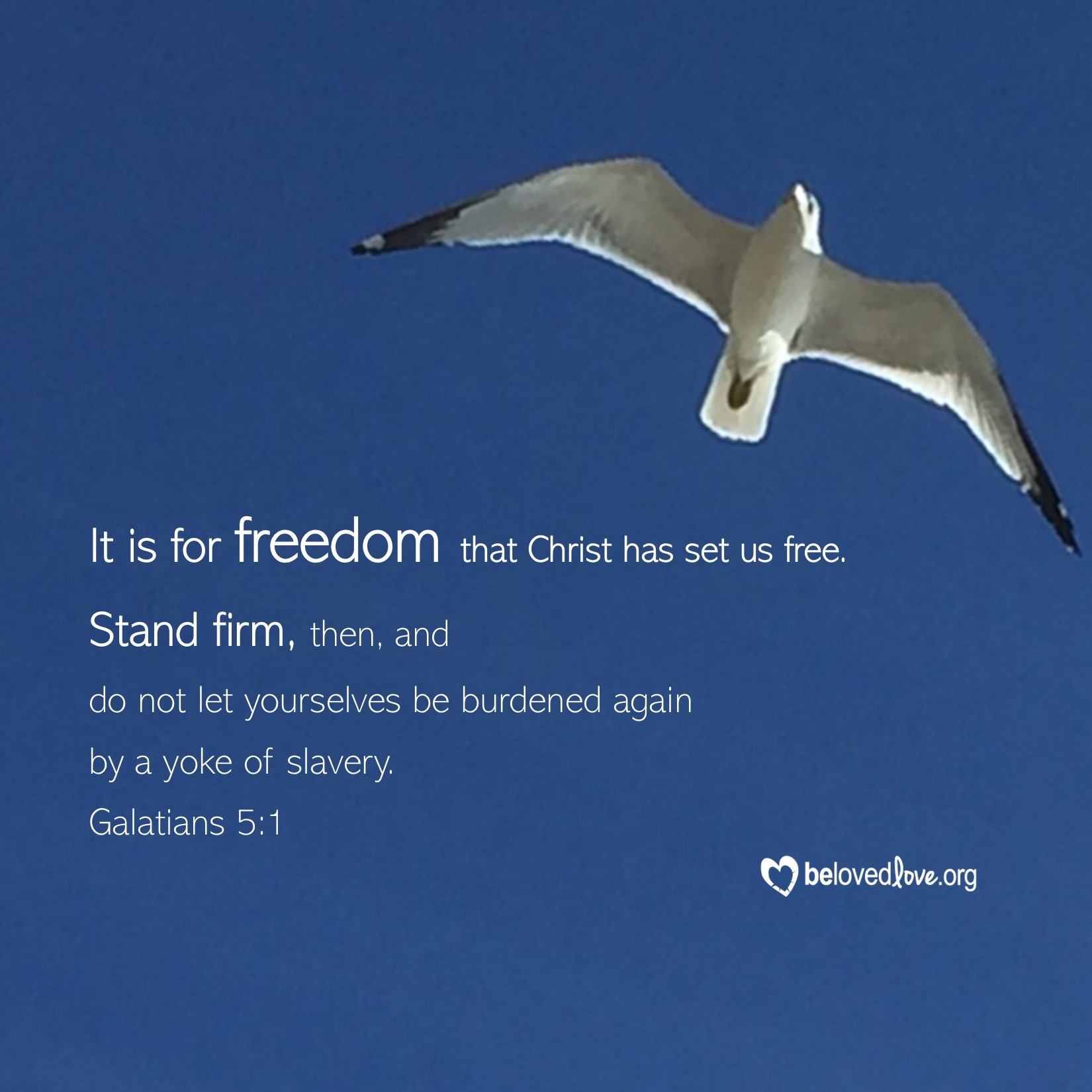 it is for freedom that christ has set us free