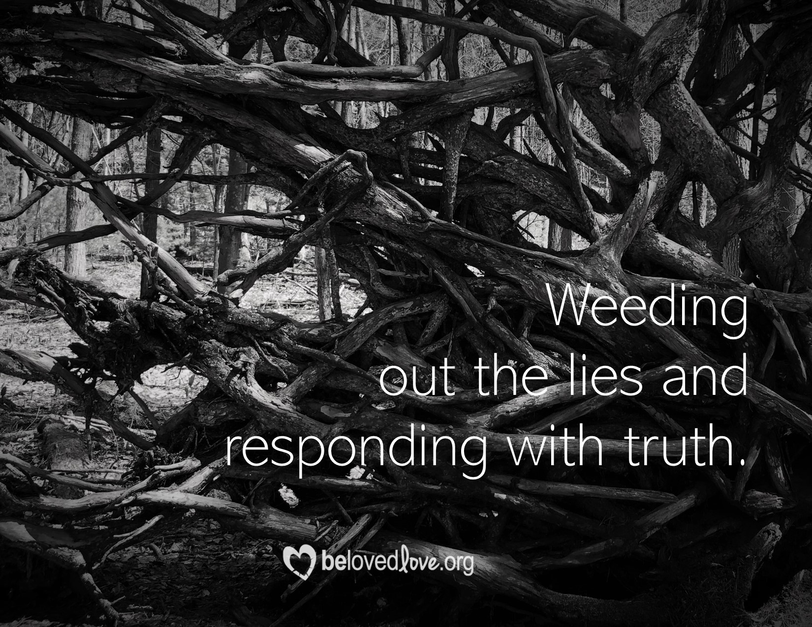 weeding out the lies and responding with truth