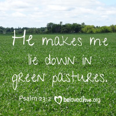 he makes me lie down in green pastures psalm 23:2