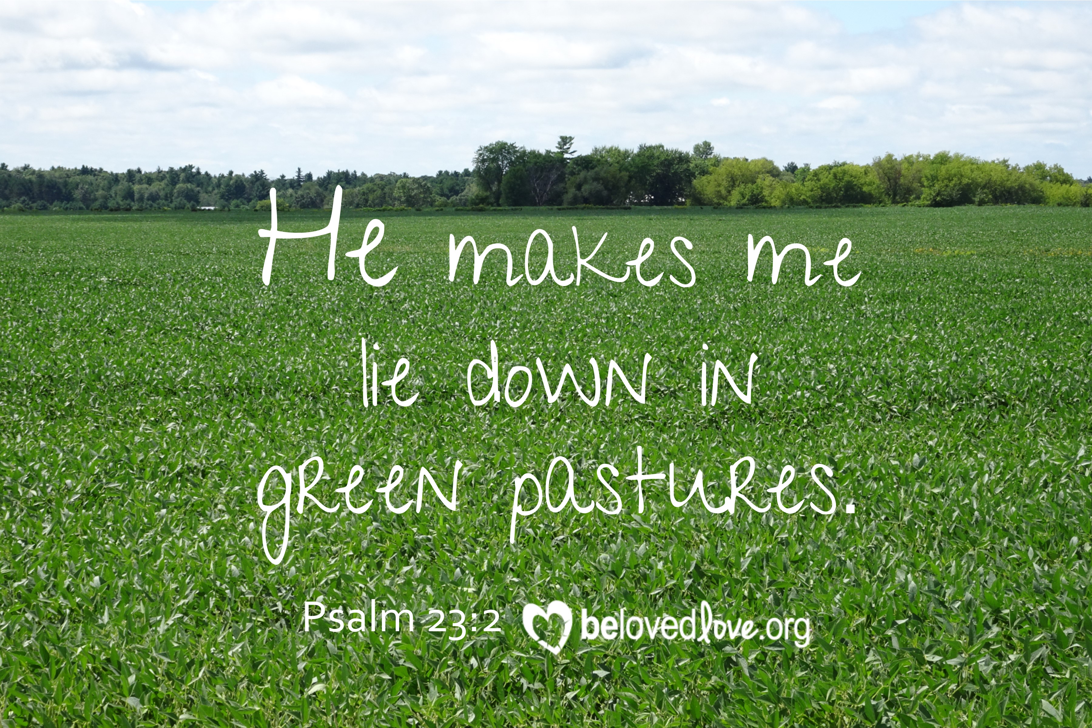 he makes me lie down in green pastures psalm 23:2