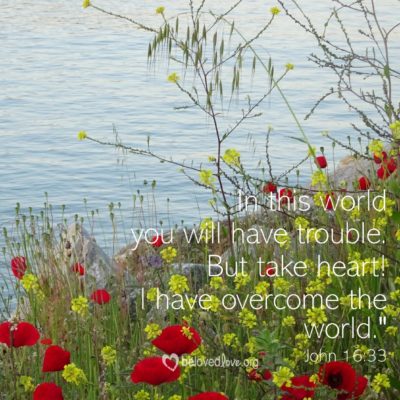 in this world you will have trouble but I have overcome the world