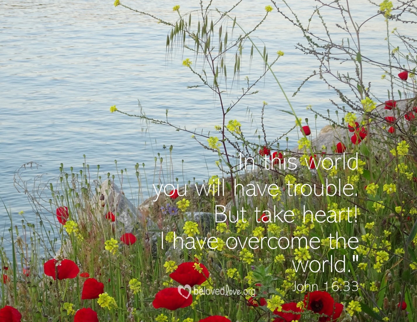 in this world you will have trouble but I have overcome the world