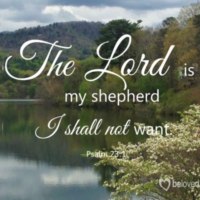 the Lord is my shepherd I shall not want psalm 23:1