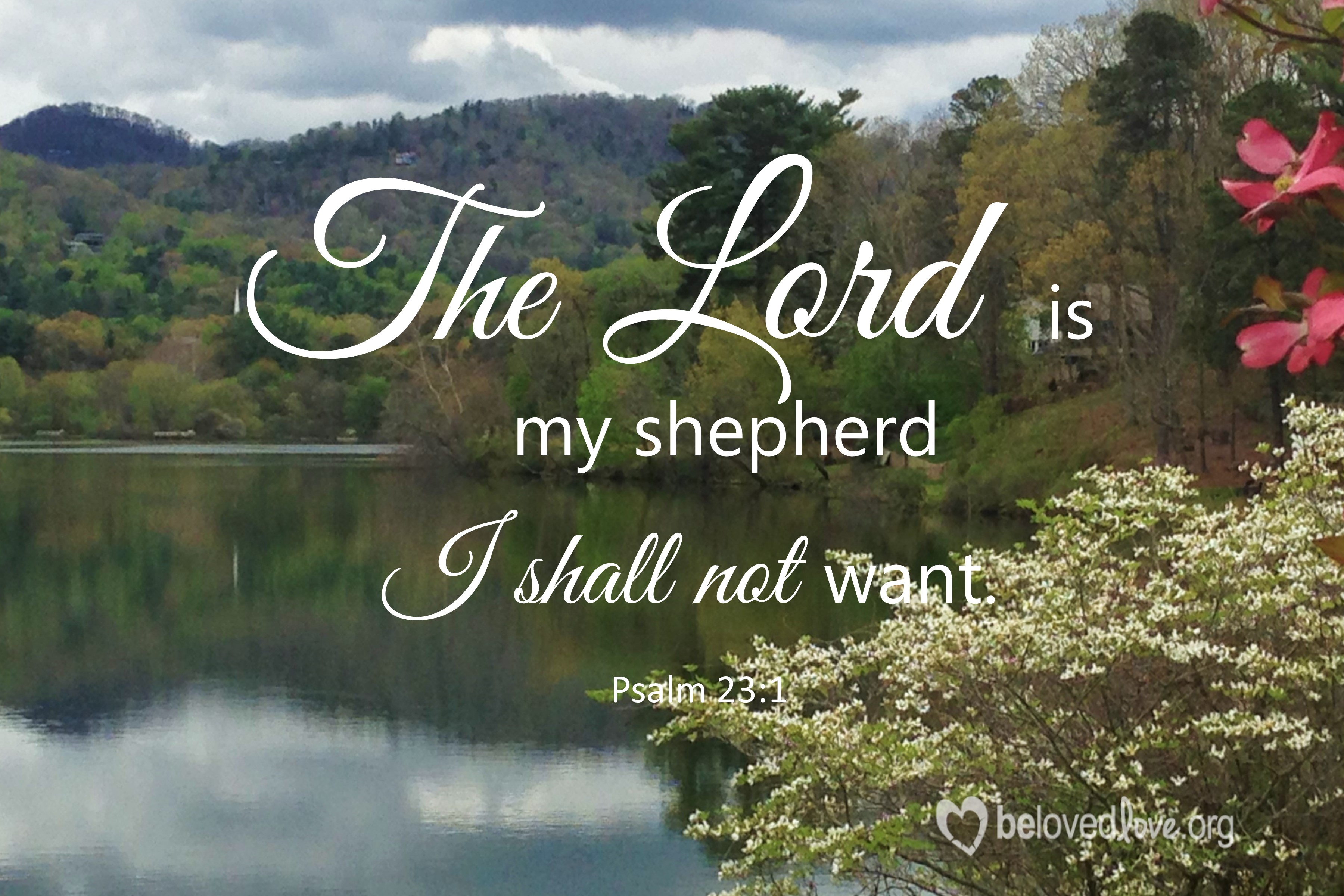 The Lord Is My Shepherd I Shall Not Want Belovedlove