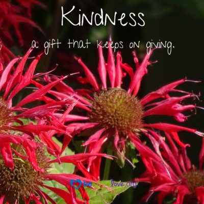 kindness, a gift that keeps on giving