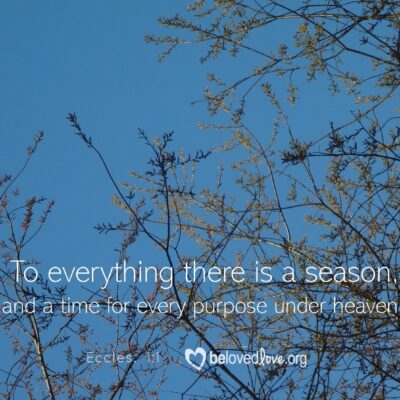 to everything there is a season