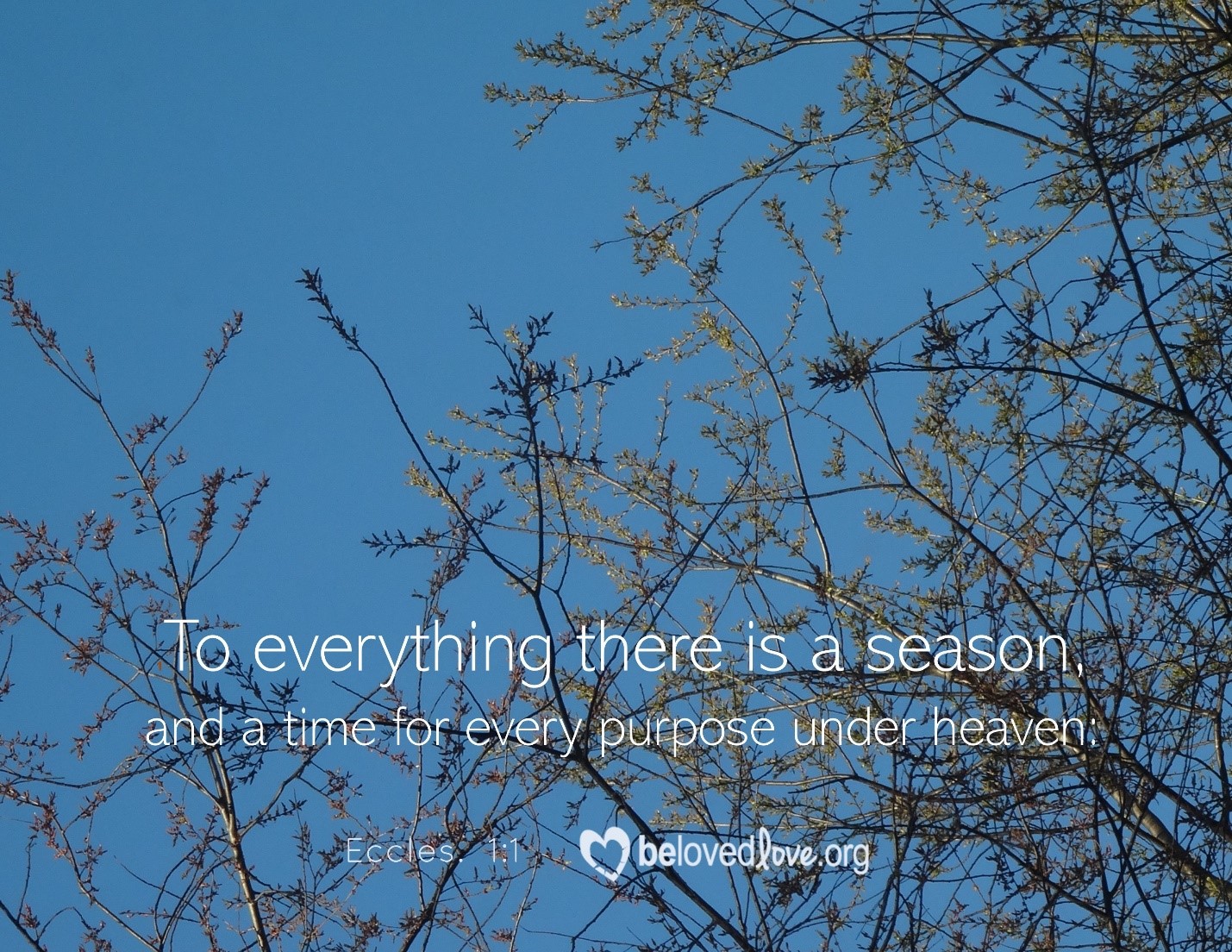 to everything there is a season